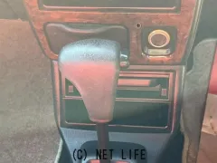 光岡自動車 レイ