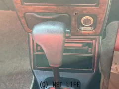 光岡自動車 レイ