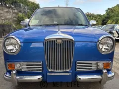 光岡自動車 レイ