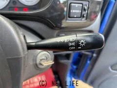 光岡自動車 レイ