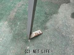 その他 軽トラ用荷台ヤグラ