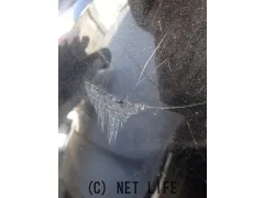 外装・エアロ フロントバンパー