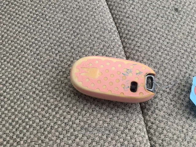 スズキ アルトラパン