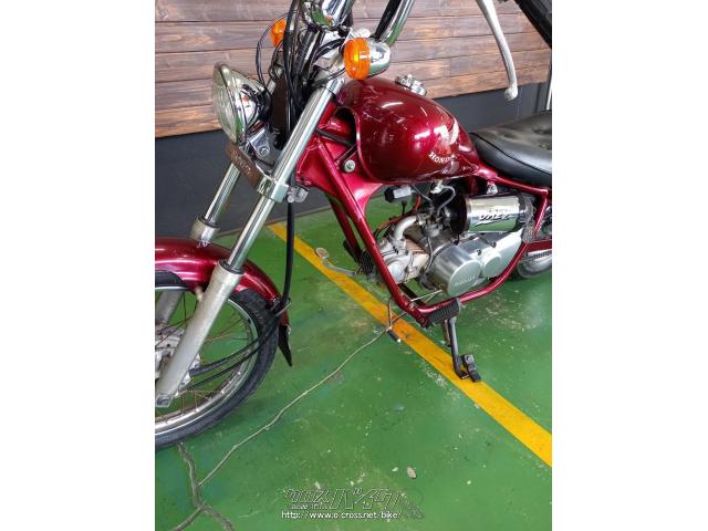 ホンダ ジャズ 50・ワインレッド・50cc・MOTOR'S SHOP トラスト