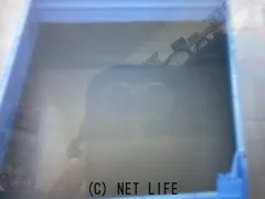 いすゞ エルフ