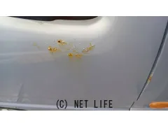 スバル サンバー