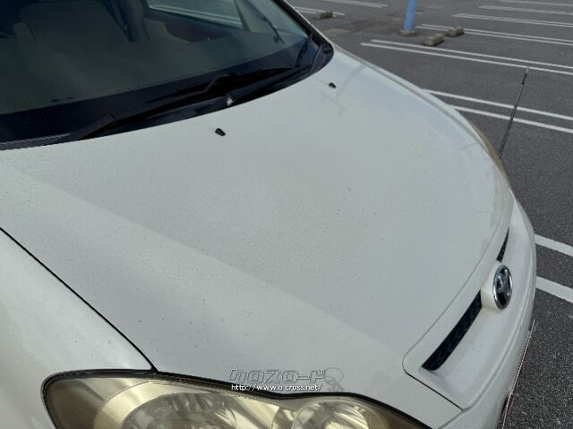 トヨタ イプサム