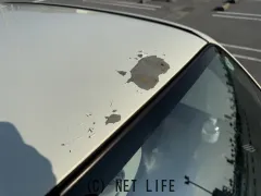 ダイハツ ミラジーノ