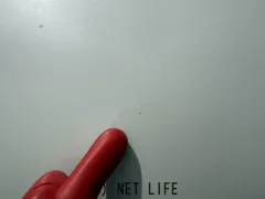 スズキ パレット