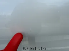 スズキ パレット