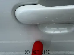 スズキ パレット