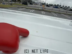 スズキ パレット