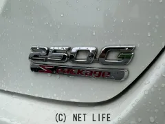 トヨタ マークX