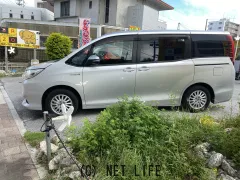 トヨタ ノア