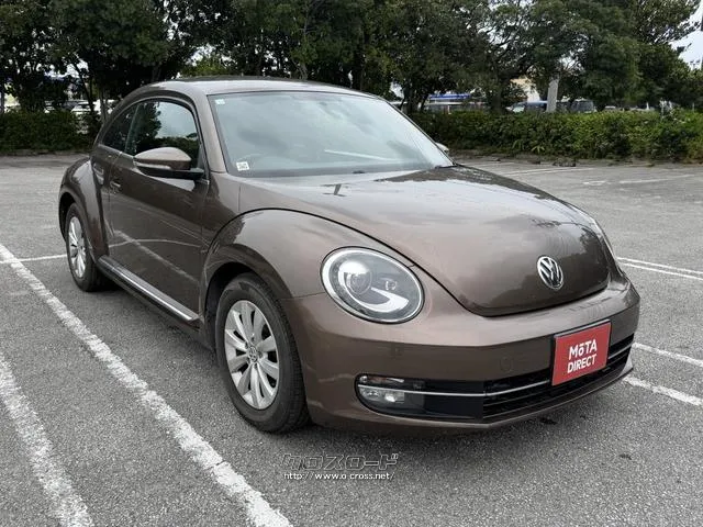 査定員が車両をしっかりチェック フォルクスワーゲン ザ・ビートル