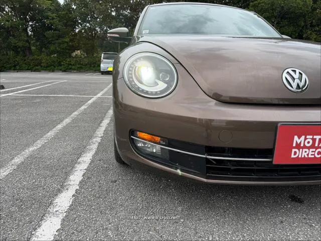 もう中抜きされない!自動車売買の流通革命 フォルクスワーゲン ザ・ビートル