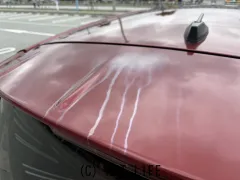 ダイハツ キャスト