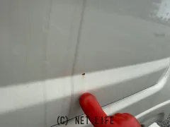ホンダ ゼスト