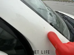 ホンダ ゼスト