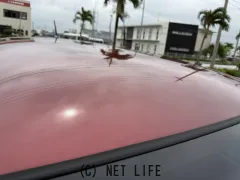 スバル ステラ