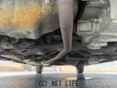 ホンダ ゼスト