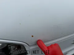 スズキ アルト