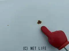 スズキ アルト
