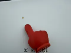 スズキ アルト