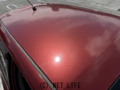 日産 ジューク