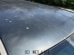 トヨタ ランドクルーザープラド