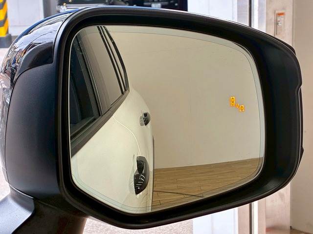 トヨタ ランドクルーザー300