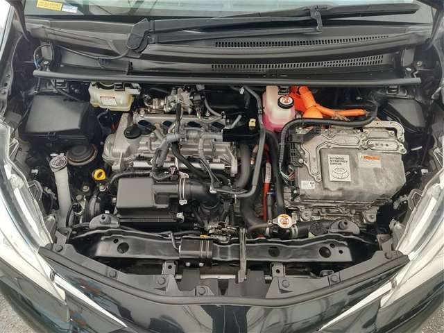 トヨタ ヴィッツ