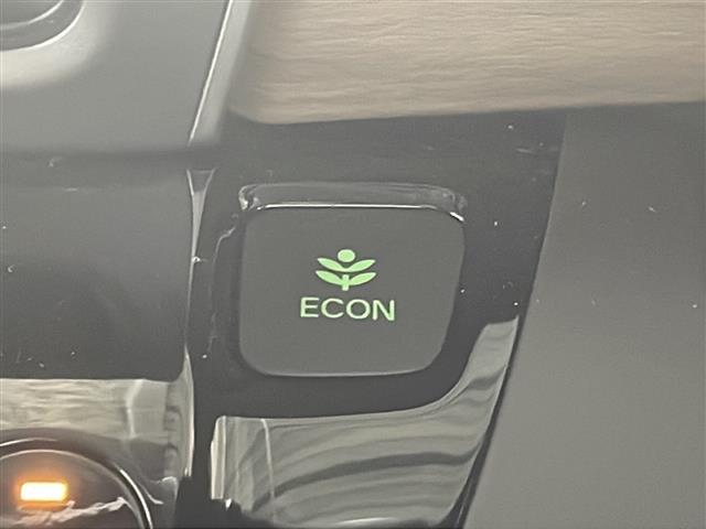 ホンダ フリード+