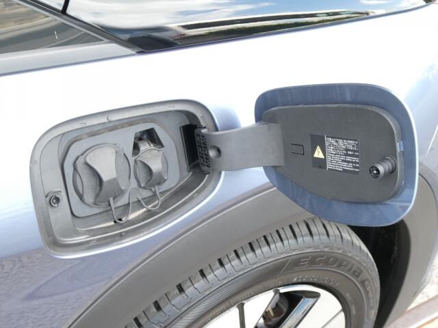 BYD BYDドルフィン