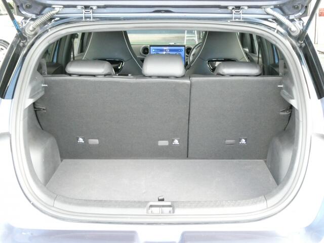 BYD BYDドルフィン