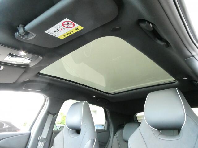 BYD BYDドルフィン