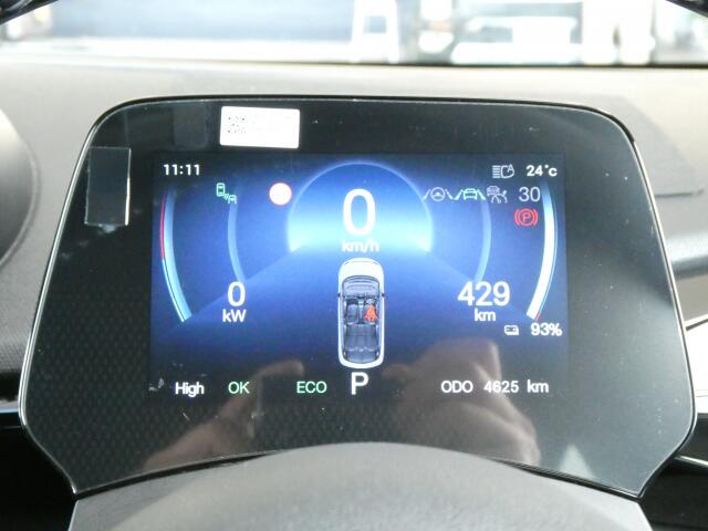 BYD BYDドルフィン