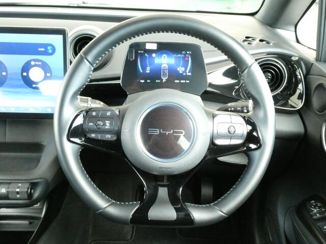 BYD BYDドルフィン