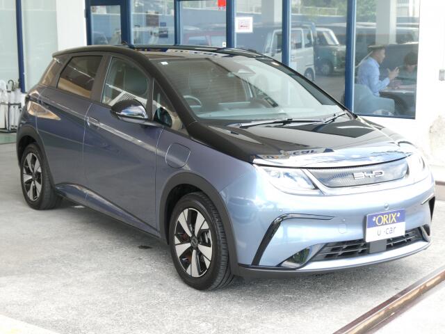 BYD BYDドルフィン