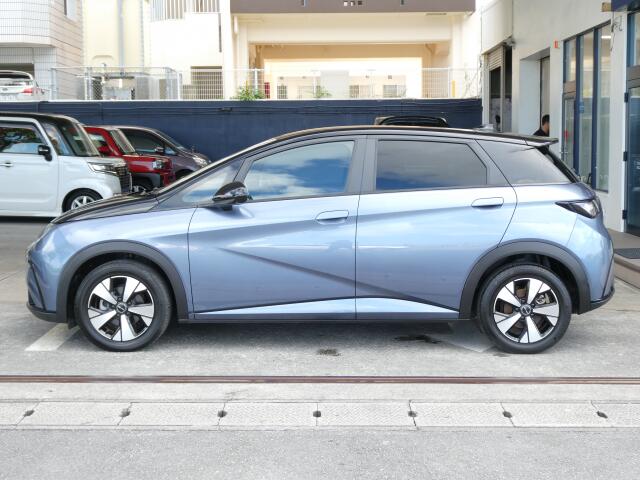 BYD BYDドルフィン