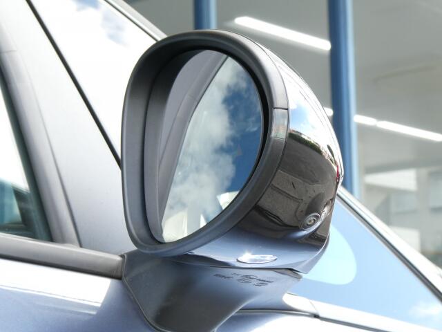 BYD BYDドルフィン