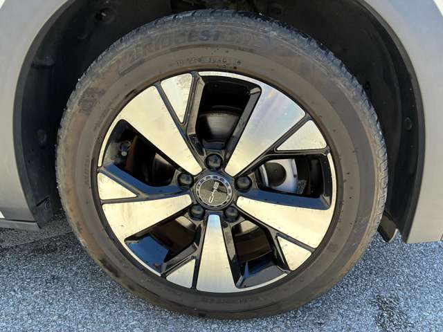 BYD BYDドルフィン