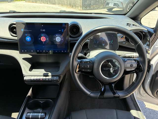 BYD BYDドルフィン