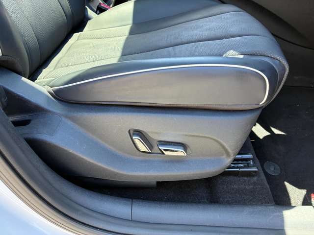 BYD BYDドルフィン