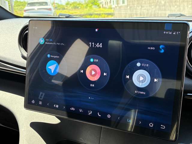 BYD BYDドルフィン