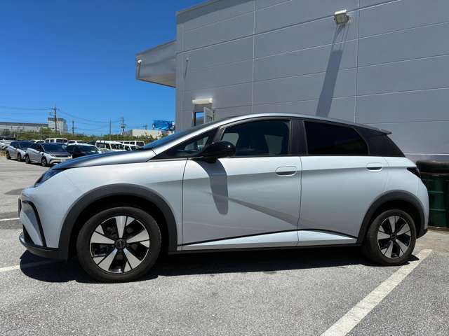 BYD BYDドルフィン