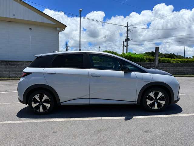 BYD BYDドルフィン