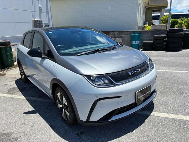 BYD BYDドルフィン