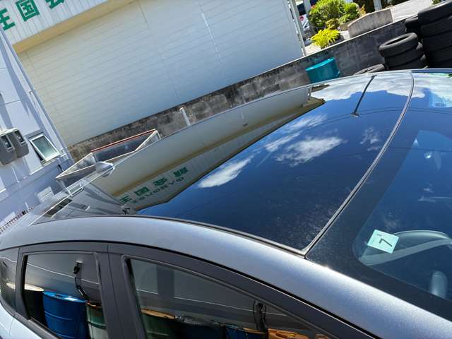 BYD BYDドルフィン