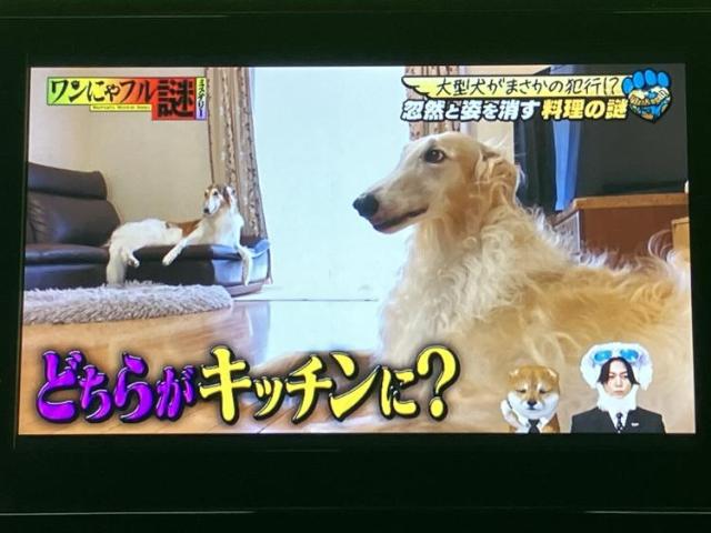 トヨタ カローラクロス